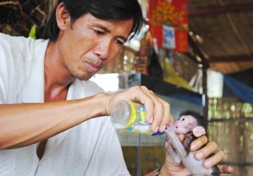 Người của rừng già ảnh 1