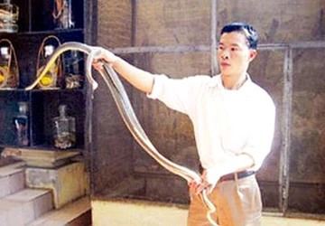 Nghề nuôi rắn thương phẩm: Nguy hiểm nhưng lãi cao ảnh 1