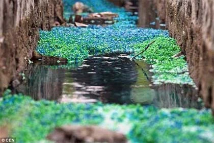 Trung Quốc tẩu tán hàng kém chất lượng kiểu gì? ảnh 1 Trung Quốc tẩu tán hàng kém chất lượng kiểu gì? ảnh 1