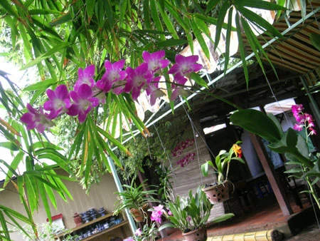 Chùa Phước Long, Cam Ranh ảnh 23