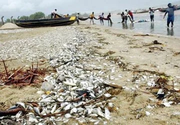 Bão Laila tràn vào miền Nam Ấn Độ ảnh 1