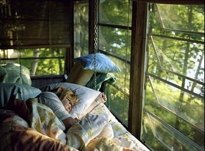 Lạ lùng những ngôi nhà cổ tích giữa rừng ảnh 5