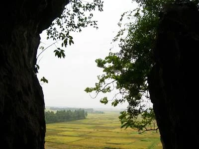 Dị bản câu chữ về 'Mắt người Sơn Tây' ảnh 1