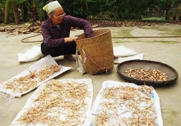 Thầy lang xứ Mường - Kỳ 1: Lão Hồng với 30 bài thuốc cứu người ảnh 2 Thầy lang xứ Mường - Kỳ 1: Lão Hồng với 30 bài thuốc cứu người ảnh 2