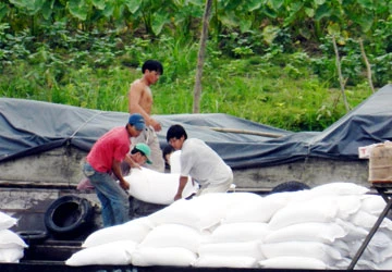 Đường cát Thái vẫn ào ạt nhập lậu ảnh 1