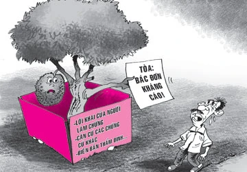 Chặt cây mít hàng xóm ảnh 1