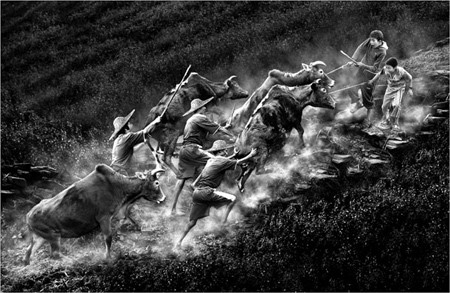 Những bức ảnh số xuất sắc năm 2009 ảnh 11