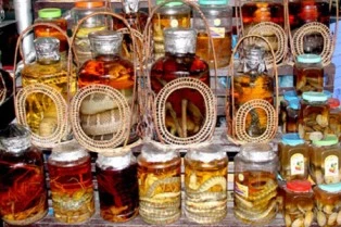 Xuất huyết não sau khi uống rượu pín ảnh 1