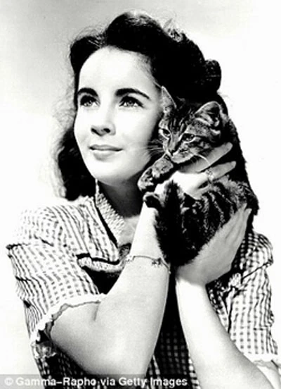 Bức ảnh khỏa thân của Liz Taylor là giả? ảnh 2