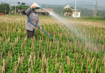 Có nên cho sở hữu tư nhân về đất đai?- Bài cuối: Công nhận tư hữu để sử dụng đất hiệu quả ảnh 1