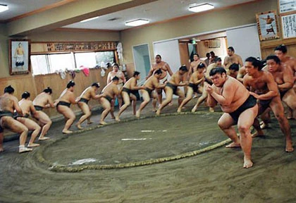 Cuộc sống dưới võ đài của võ sĩ Sumo ảnh 1