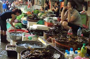 Ẩn họa từ các loại ký sinh trùng trong tôm, cá ảnh 1