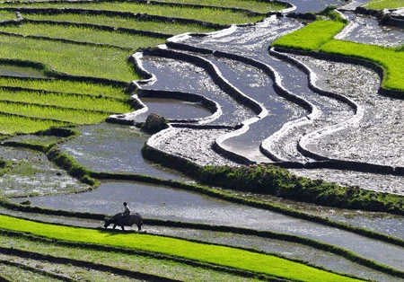 Ngắm Sapa trong vụ cấy mới ảnh 8