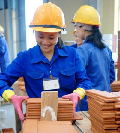 Ai khỏe nhờ khám sức khỏe? ảnh 2