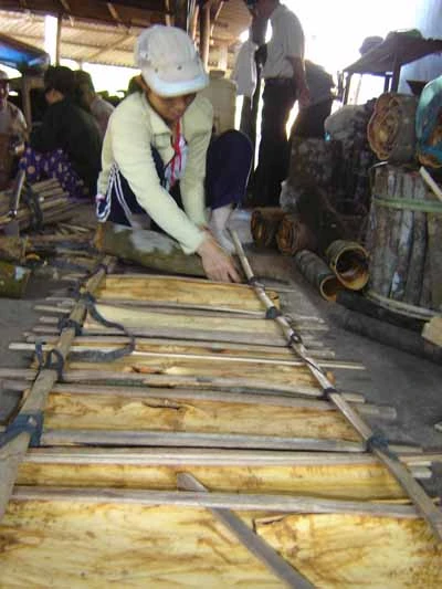 Con đường thương hiệu của cây quế ảnh 2