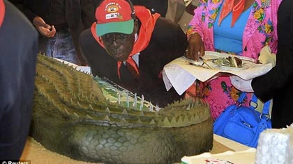 Tiệc sinh nhật 1 triệu USD của tổng thống Zimbabwe ảnh 1