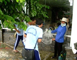 Tiếp thị bò cạp cho sinh viên trên đường Quang Trung, Q. Gò Vấp.