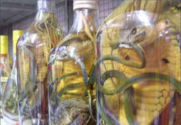 Nguy cơ tử vong từ rượu thuốc ảnh 1