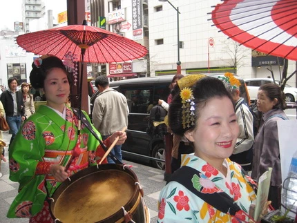 Ngắm hoa anh đào dưới chân Phú Sĩ ảnh 3