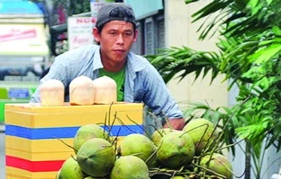 Tấn Trường đi bán dừa tươi! ảnh 1