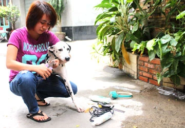 Dịch vụ, việc làm “độc” mùa tết ảnh 1 Dịch vụ, việc làm “độc” mùa tết ảnh 1