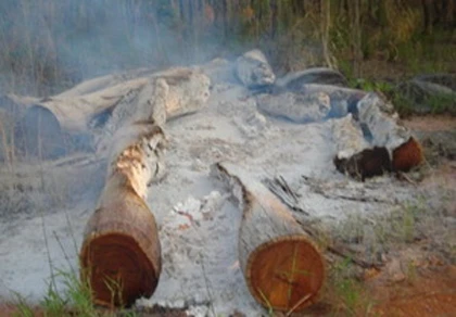 Khởi tố nhóm lâm tặc tấn công lực lượng bảo vệ rừng ảnh 1