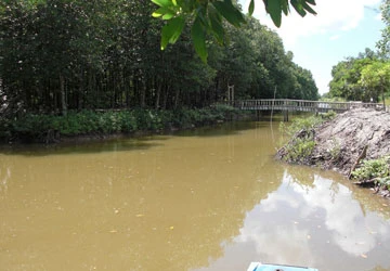 Mất rừng do... bảo vệ rừng ảnh 1