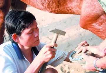 Người đóng móng ngựa cuối cùng ở Phú Thọ ảnh 1