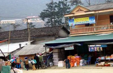 Dinh thự họ Vương - "Vua Mèo" ảnh 4