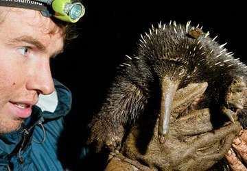 13 loài thú có vú hiếm và lạ ảnh 1 13 loài thú có vú hiếm và lạ ảnh 1