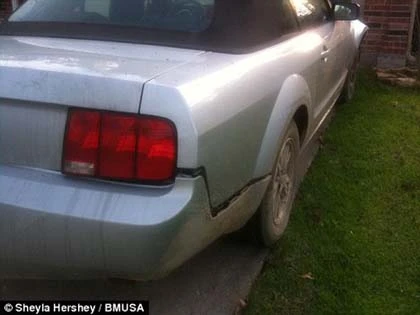 Người mẫu thoát chết nhờ ngực khổng lồ ảnh 4