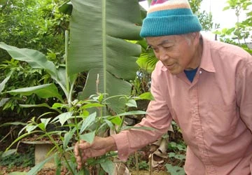 Thầy lang xứ Mường - Kỳ 1: Lão Hồng với 30 bài thuốc cứu người ảnh 1 Thầy lang xứ Mường - Kỳ 1: Lão Hồng với 30 bài thuốc cứu người ảnh 1