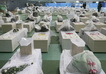 Trong hoạn nạn mới thấy chân tình ảnh 1