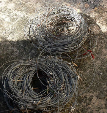 Bẫy thú rừng giữa đại ngàn ảnh 2