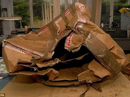 Đội mồ trở về nhờ… chiếc nhẫn đính hôn ảnh 4