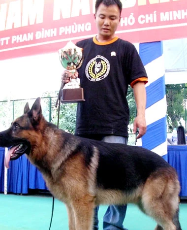 Thi "hoa hậu chó" ảnh 1