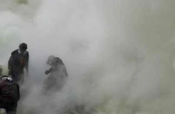 Những phát hiện khảo cổ lớn nhất năm 2009 ảnh 6