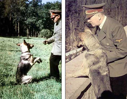 Vũ khí bí mật của Hitler: chó biết nói tiếng người ảnh 1