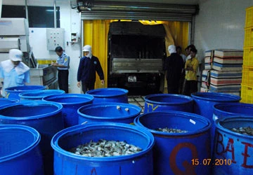 Không bơm tạp chất thì không tồn tại? ảnh 2