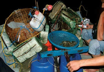 Ngư dân khốn khổ vì “giã cào bay” ảnh 2
