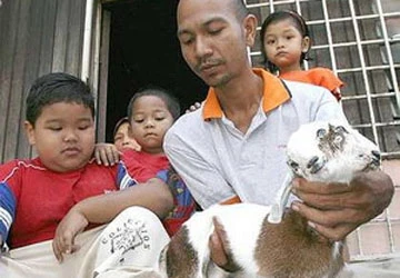 Dê có hai đầu ảnh 1