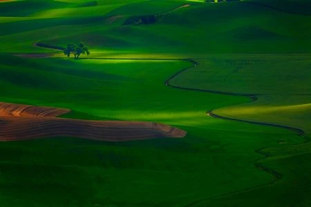 Tuyệt đẹp bộ sưu tập hình nền và giao diện dành cho người yêu thiên nhiên ảnh 20 Tuyệt đẹp bộ sưu tập hình nền và giao diện dành cho người yêu thiên nhiên ảnh 20