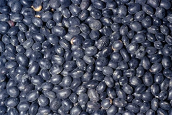 Một số sản phẩm độc hại từ Trung Quốc ( Phần 1) ảnh 2