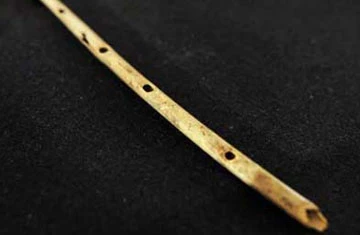 Những phát hiện khảo cổ lớn nhất năm 2009 ảnh 2