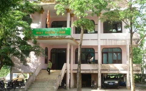 Yêu cầu làm rõ thông tin kiểm lâm tiếp tay lâm tặc ảnh 1