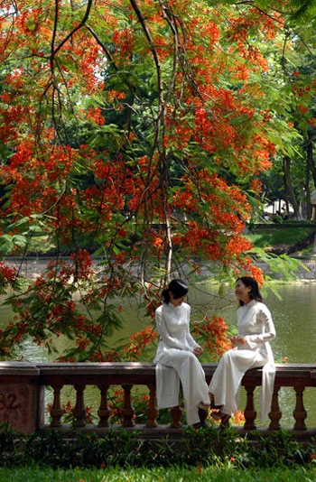 Thiếu nữ e ấp trong mùa hoa phượng ảnh 7