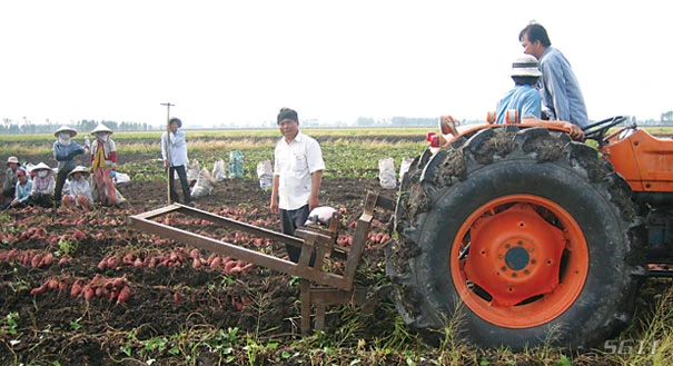 Ba Hạo đã cơ giới hoá để giảm chi phí 30%, nhờ vậy sản phẩm dễ bán