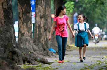 Hà Nội mùa lá bay ảnh 10