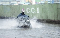 Thêm 100 - 300 tỉ cứu “con đường đau khổ” ảnh 2 Thêm 100 - 300 tỉ cứu “con đường đau khổ” ảnh 2