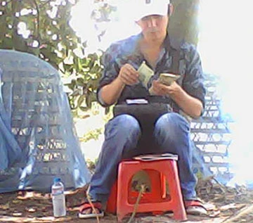 Những trường gà cực lớn tại Long An - Bài 3: Trường gà vùng giáp ranh ảnh 2